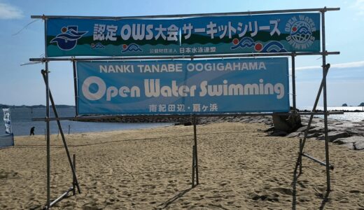 🏖 南紀田辺・扇ケ浜オープンウォータースイミング 2025｜大会レビュー